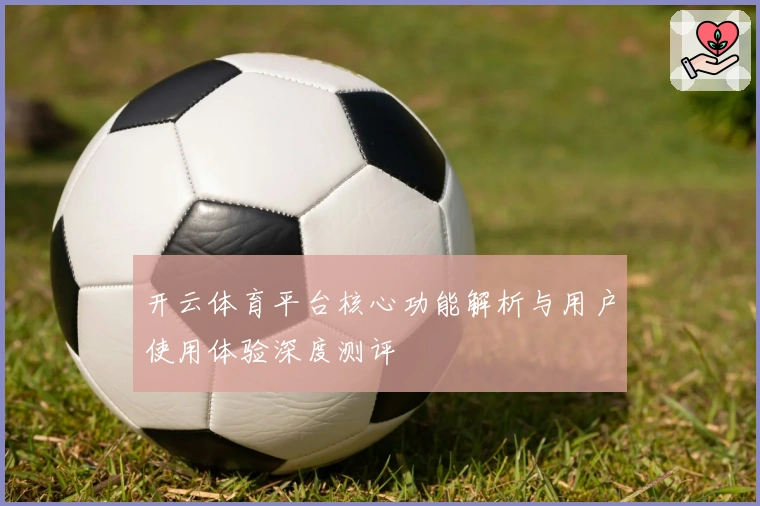 开云体育平台核心功能解析与用户使用体验深度测评