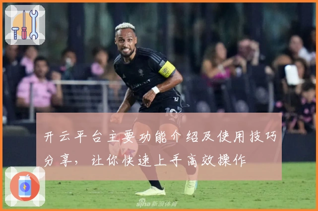 开云平台主要功能介绍及使用技巧分享，让你快速上手高效操作